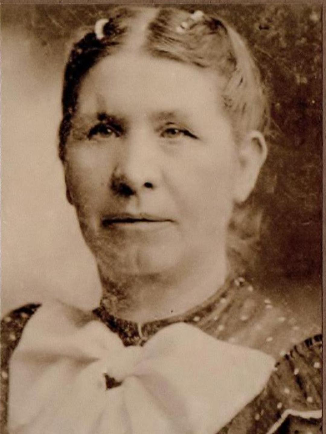 Sarah Elizabeth Abbott (1850 - 1916) Profile